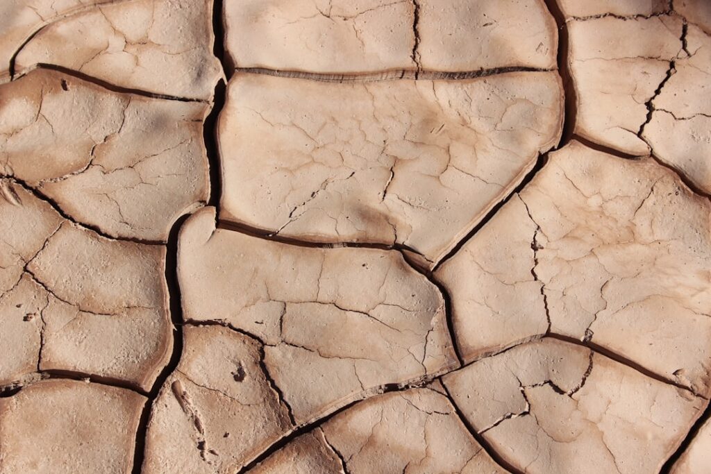 Dramatic, close-up photo of dry, cracked earth, symbolizing a broken and outdated business foundation facing an extinction...
