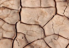 Dramatic, close-up photo of dry, cracked earth, symbolizing a broken and outdated business foundation facing an extinction...
