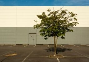 Eye-level shot of a large, abandoned big-box store with a crumbling facade and an empty parking lot, symbolizing an obsole...